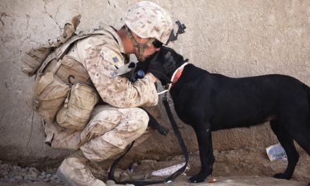 PTSD – Hunden kan gøre stor forskel på hverdagen for en person med PTSD